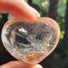 Load image into Gallery viewer, Quartz Palms-Several to Choose from!