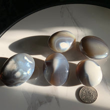 Load image into Gallery viewer, Orca Agate Palms