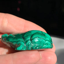Load image into Gallery viewer, Malachite Frog 56 grams