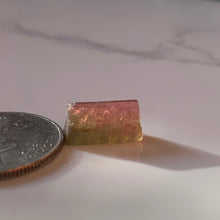 Load image into Gallery viewer, 14.5 mm Watermelon Tourmaline Rod 1gram