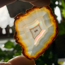 Load image into Gallery viewer, HQ Iris Agate Slice-Multicolor fire- 2 to choose from!