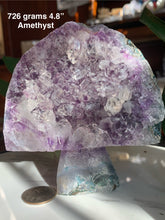 Load image into Gallery viewer, Amazing Cluster Geode Mushrooms- Many to Choose from!
