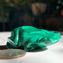 Load image into Gallery viewer, Malachite Frog 56 grams