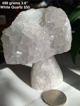 Load image into Gallery viewer, Amazing Cluster Geode Mushrooms- Many to Choose from!