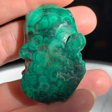 Load image into Gallery viewer, Malachite Frog 56 grams