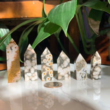 Load image into Gallery viewer, Stunning Orbicular Ocean Jasper points - 6 to choose from!