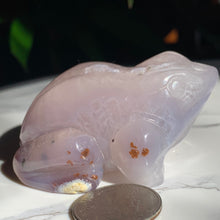 Load image into Gallery viewer, Agate Frog 2.8” x 2” 148 grams