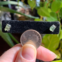 Load image into Gallery viewer, 3 sets of Amazing Moldavite Earrings to choose from!
