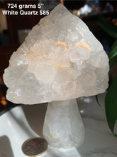 Load image into Gallery viewer, Amazing Cluster Geode Mushrooms- Many to Choose from!