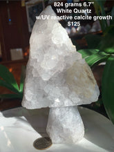 Load image into Gallery viewer, Amazing Cluster Geode Mushrooms- Many to Choose from!
