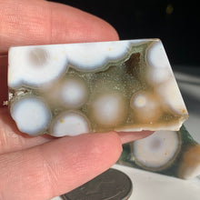 Load image into Gallery viewer, Orbicular Ocean Jasper FreeForm- 4 to choose from!