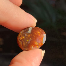 Load image into Gallery viewer, RARE Fire Agate cabs! 4 to choose from!