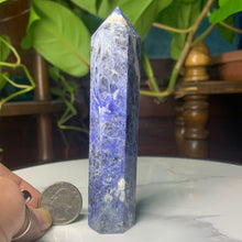 Load image into Gallery viewer, 4.5” Sodalite Point 100 grams