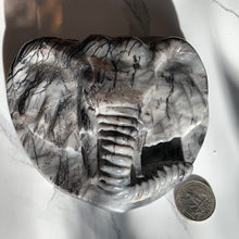 Load image into Gallery viewer, Black zebra Jasper Elephant 600 grams