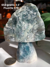 Load image into Gallery viewer, Amazing Cluster Geode Mushrooms- Many to Choose from!