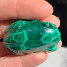 Load image into Gallery viewer, Malachite Frog 56 grams
