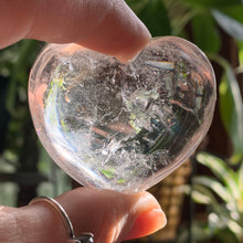 Load image into Gallery viewer, Quartz Palms-Several to Choose from!