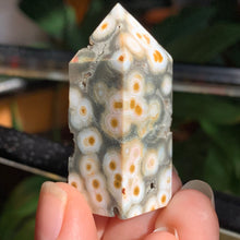 Load image into Gallery viewer, Stunning Orbicular Ocean Jasper points - 6 to choose from!