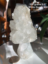 Load image into Gallery viewer, Amazing Cluster Geode Mushrooms- Many to Choose from!