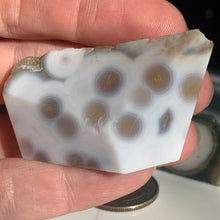 Load image into Gallery viewer, Orbicular Ocean Jasper FreeForm- 4 to choose from!