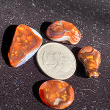 Load image into Gallery viewer, RARE Fire Agate cabs! 4 to choose from!