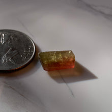 Load image into Gallery viewer, 14.5 mm Watermelon Tourmaline Rod 1gram