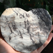 Load image into Gallery viewer, Black zebra Jasper Elephant 600 grams