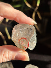 Load image into Gallery viewer, Polished Quartz Enhydro