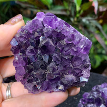 Load image into Gallery viewer, "Grape Jelly" Amethyst Cluster Mini Cathedrals