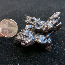 Load image into Gallery viewer, Prophecy Stones (limonite)