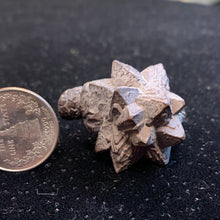 Load image into Gallery viewer, Prophecy Stones (limonite)