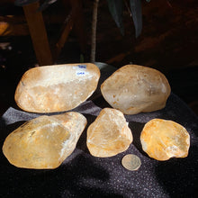 Load image into Gallery viewer, Raw Natural Golden Healer Quartz specimens w/windows