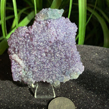 Load image into Gallery viewer, Grape Agate Specimens- Several sizes and prices