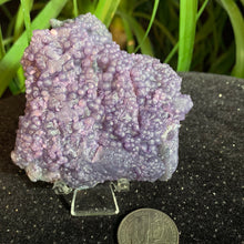 Load image into Gallery viewer, Grape Agate Specimens- Several sizes and prices