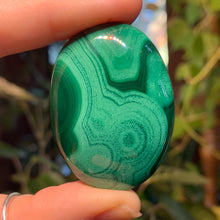 Load image into Gallery viewer, 54g Malachite Palm Stone