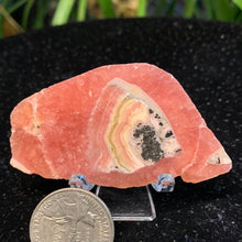 Load image into Gallery viewer, AAA Rhodochrosite Slabs- Several sizes/prices