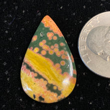 Load image into Gallery viewer, Orbicular Ocean Jasper Cabochons