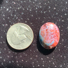 Load image into Gallery viewer, Pietersite Cabochons