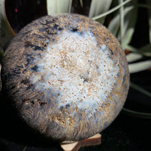 Load image into Gallery viewer, 2.75" Amazingly Unusual Agate Sphere 428 grams