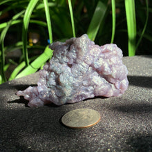 Load image into Gallery viewer, Grape Agate Specimens- Several sizes and prices
