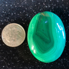 Load image into Gallery viewer, 54g Malachite Palm Stone