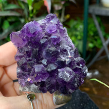 Load image into Gallery viewer, "Grape Jelly" Amethyst Cluster Mini Cathedrals
