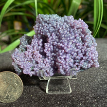 Load image into Gallery viewer, Grape Agate Specimens- Several sizes and prices