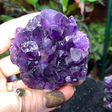 Load image into Gallery viewer, "Grape Jelly" Amethyst Cluster Mini Cathedrals