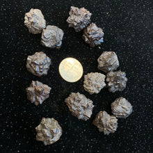 Load image into Gallery viewer, Prophecy Stones (limonite)