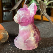 Load image into Gallery viewer, 2.8" Pink Fluorite Frenchie 182 grams