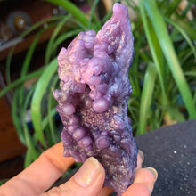 Load image into Gallery viewer, Grape Agate Specimens- Several sizes and prices