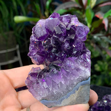 Load image into Gallery viewer, "Grape Jelly" Amethyst Cluster Mini Cathedrals