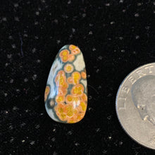 Load image into Gallery viewer, Orbicular Ocean Jasper Cabochons