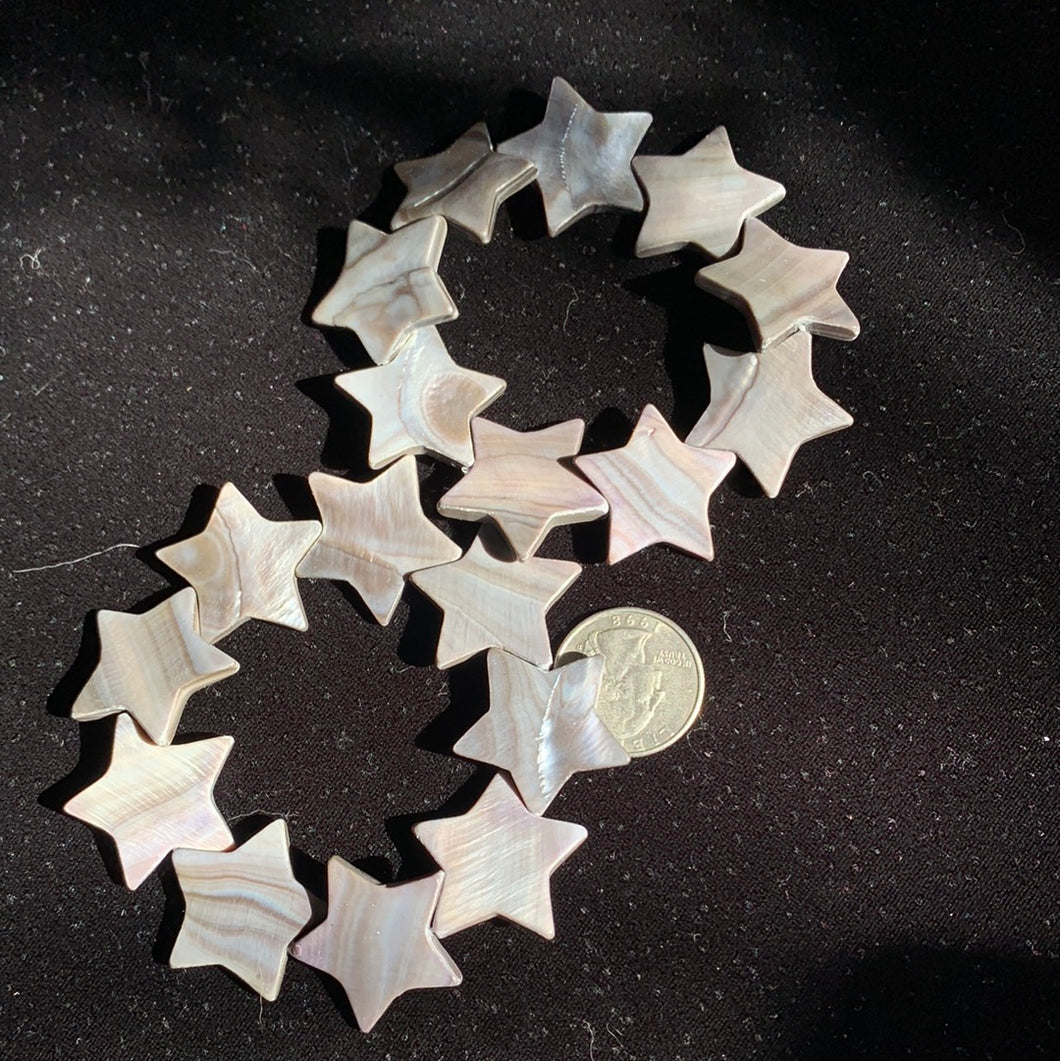 Fossilized Shell 27mm Star Bracelet